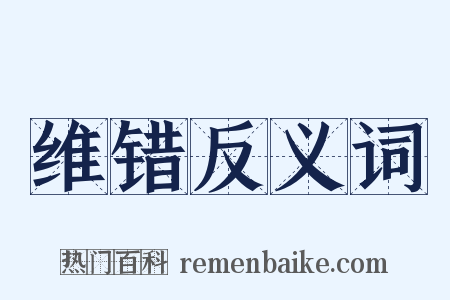 维错反义词是什么意思的图片
